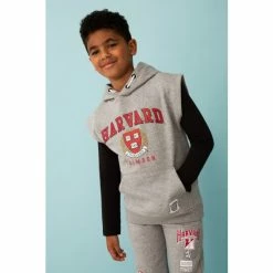 F&F Grey Harvard Hoodies